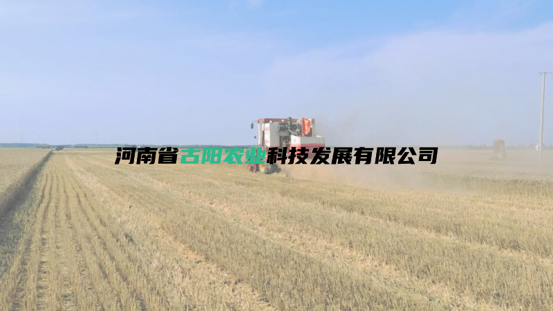 暂无内容