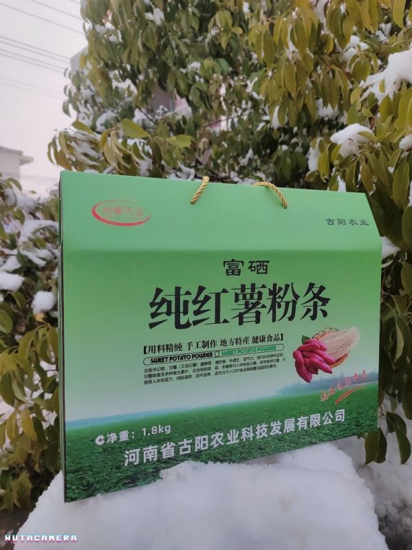 红薯粉条