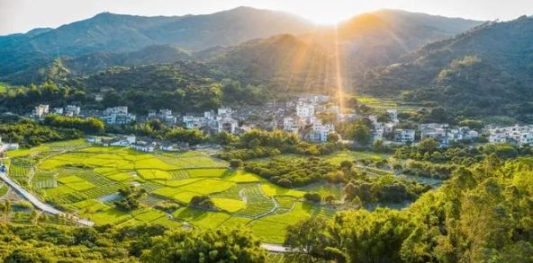 乡村振兴：强化“十种模式”壮大集体经济